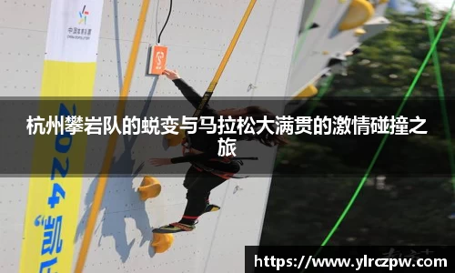 三亿体育有限公司